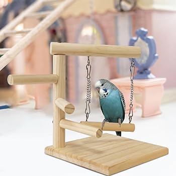 Amazon.co.jp: 鳥とまり木スタンド | 木のオカメインコの遊び場